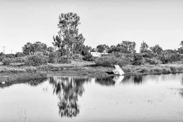 Reflections Pond Willemsrivier Northern Cape Province Monochrome — Stock Photo, Image