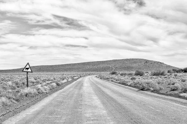 Paisagem Rodoviária Tankwa Karoo Província Cabo Norte Sinal Aviso Visível — Fotografia de Stock