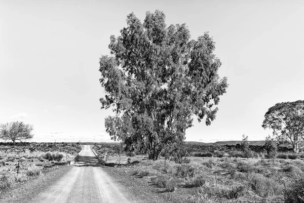 Ponte sobre o rio Sak na estrada R356 perto de Fraserburg. Monocromático — Fotografia de Stock