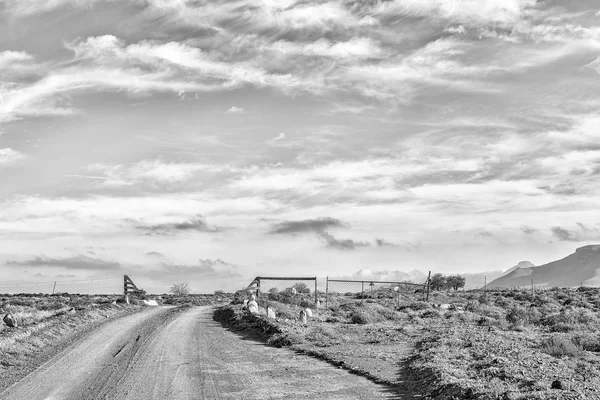 Road landscape, with cattle grid gate, in Tankwa Karoo. Monochro — Stock Photo, Image