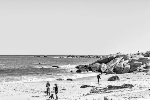 Люди і собака на пляжі в затоці Кампс-Бей — стокове фото