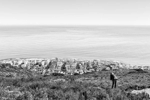 Tourist on Signal Hill in Cape Town. Monochrome — Stock Photo, Image