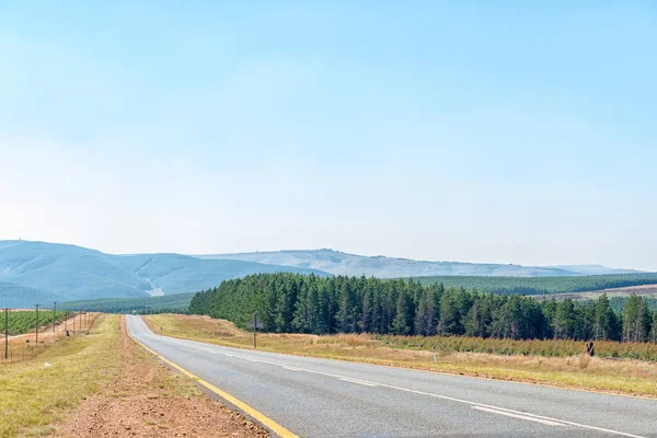 Road landscape next to road R38 between Carolina and Badplaas — Stock Photo, Image