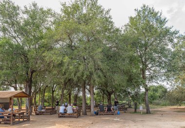 Afsaal piknik sitesi 'nde piknik alanı