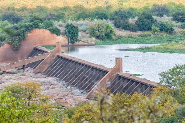 Fördämning väggen av den Engelhard fördämningen i den Letaba floden — Stockfoto