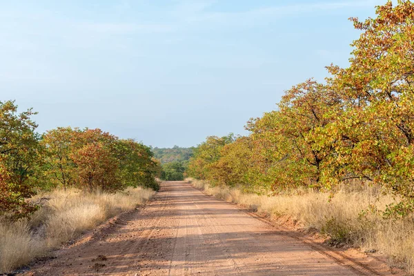 Paesaggio autunnale con una strada sterrata — Foto Stock