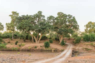Shingwedzi Nehri üzerinde beton alçak su köprüsü