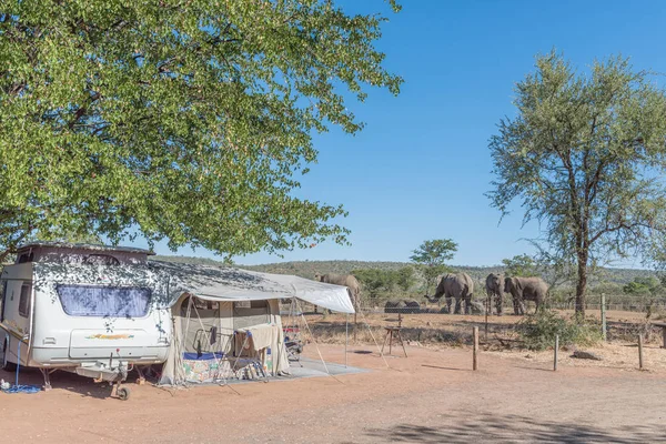 Campeggio a Punda Maria con elefanti alla pozza d'acqua — Foto Stock