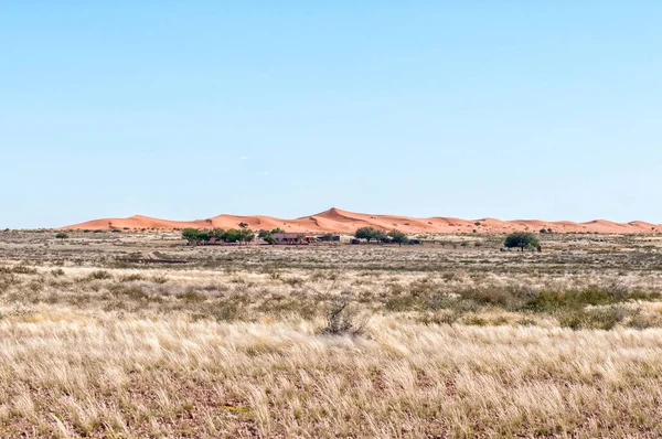 Farm Scene Kalahari Desert Namibia Dunas Arena Son Visibles — Foto de Stock