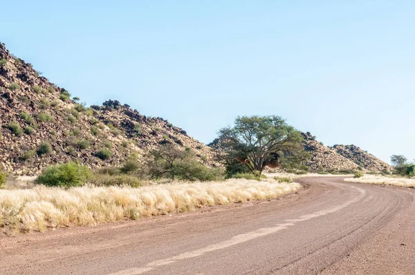 Paisaje Carretera Carretera C16 Cerca Keetmanshoop Colinas Dolorite Árbol Camelthorn — Foto de Stock