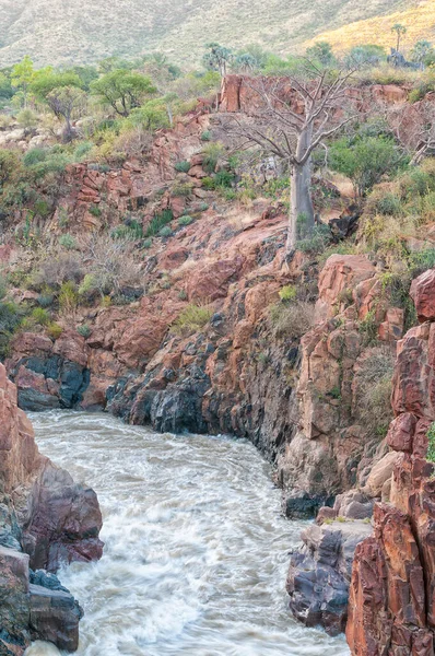 Part Epupa Waterfalls Kunene River Sunset Baobab Tree Visible — Stock Photo, Image