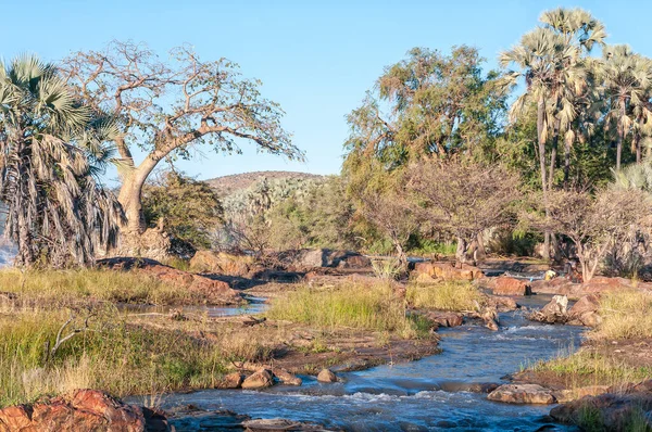 Epupa Namibia Maggio 2011 Una Donna Lava Bambino Nel Fiume — Foto Stock