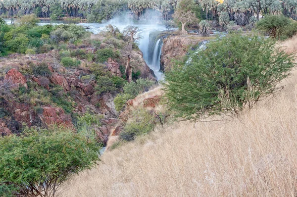 Een Deel Van Epupa Watervallen Kunene Rivier Zonsondergang Baobab Makalani — Stockfoto