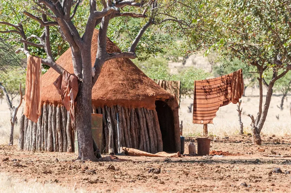 Una Capanna Tradizionale Villaggio Himba Vicino Epupa — Foto Stock