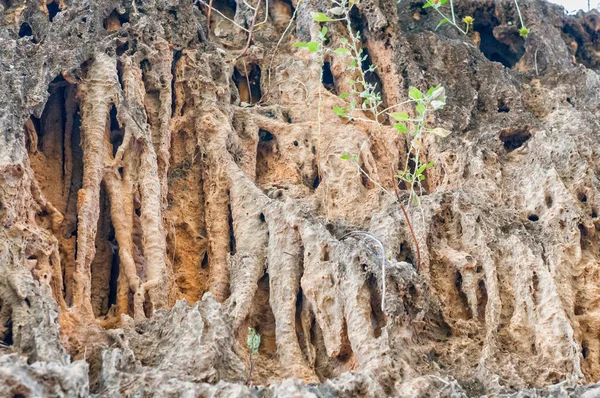 Stalactites Stalagmites Collapsed Cave Visible Ongongo Camping Site Kaokoveld Region — Stock Photo, Image