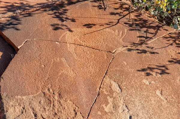 Grabados Roca Twyfelfontein Damaraland Namibia —  Fotos de Stock