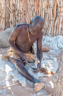 DAMARALAND, NAMIBIA - 30 Mayıs 2011: Damaraland, Namibya 'daki Damara Yaşayan Müzesi' nde keçi derisinden saç kazıyan bir Damara adamı