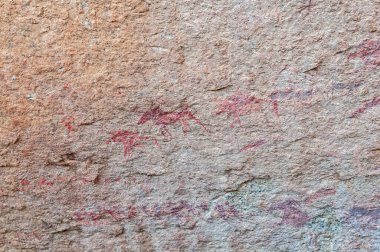 Bushman Cenneti 'ndeki mağarada San resimleri.