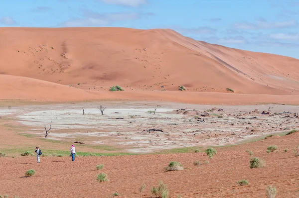 Sossusvlei Namibia June 2011 View Part Deadvlei 游客是可见的 — 图库照片