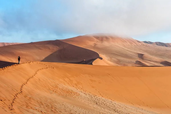 Vista Duna Areia Forma Foice Lado Sossusvlei Para Norte Dunas — Fotografia de Stock