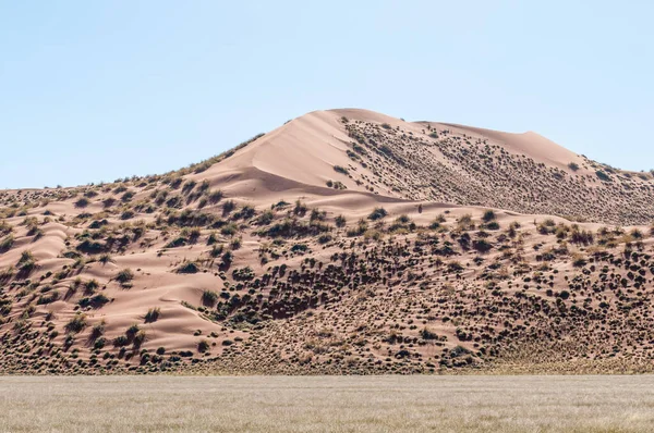 Sossusvlei附近的沙丘 长满了灌木 — 图库照片