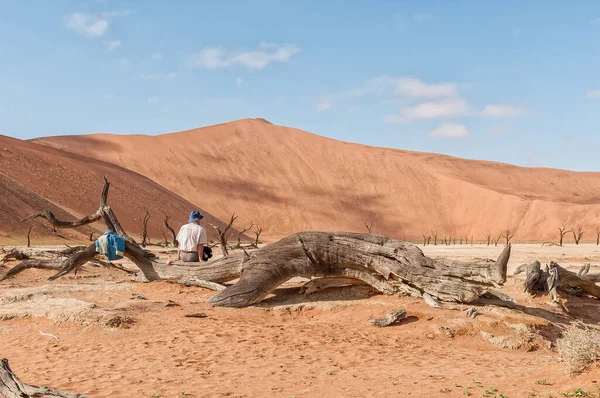 Sossusvlei Namibia June 2011年6月11日 一名导游 坐在一个枯死的树桩上 在Deadvlei等他的客户 大爸爸的沙丘在后面看得见 — 图库照片