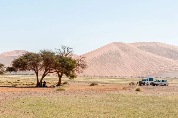 Sossusvlei Namibia Junho 2011 Turista Veículos Duas Árvores Espinheiro Camelo — Fotografia de Stock