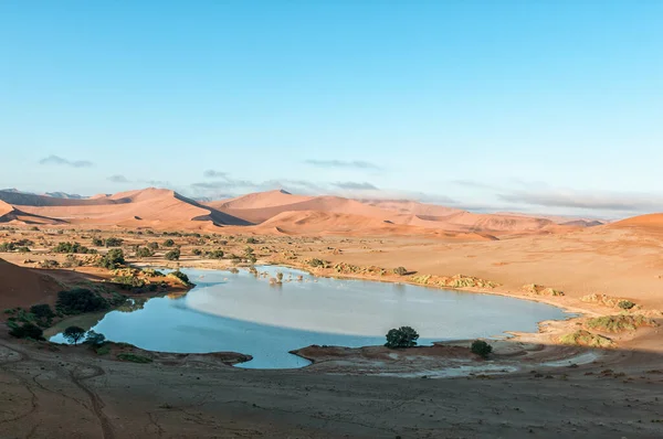 View Sossusvlei Filled Water Deadvlei — Stock Photo, Image