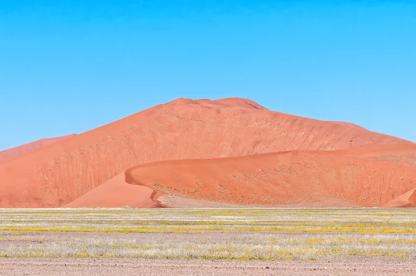 Plaine Inondable Rivière Tsauchab Près Sossusvlei Avec Une Grande Dune — Photo