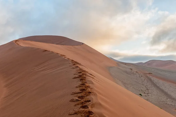 View Sickle Shaped Sand Dune Next Sossusvlei Tourist Visible Dune — Stock Photo, Image