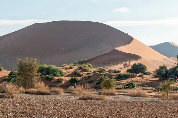 Vista Duna Areia Forma Foice Lado Sossusvlei Turistas São Visíveis — Fotografia de Stock