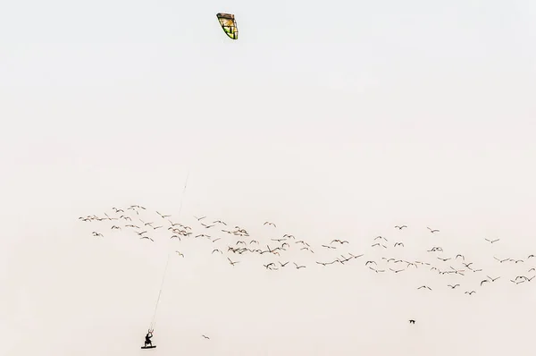 Windsurfista Aerotransportado Lagoa Walvis Bay Costa Oceano Atlântico Namíbia Bando — Fotografia de Stock