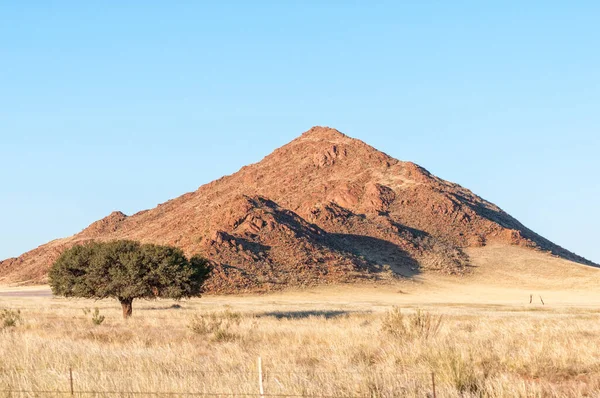 Landschap Met Boom Berg Weg D707 Nabij Koiimasis — Stockfoto