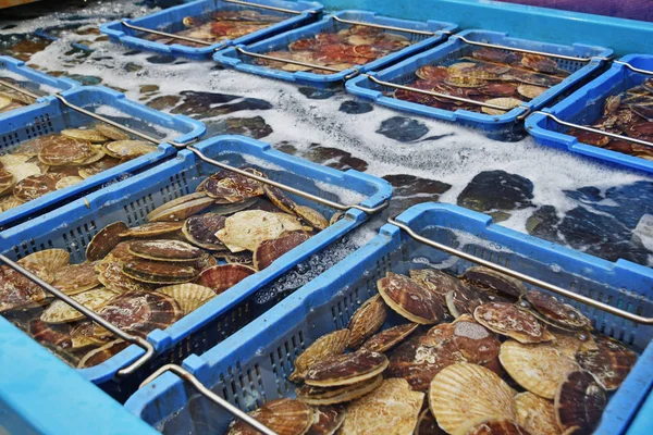 Japanese Scallop Hotate Seafood Market — Stock Photo, Image