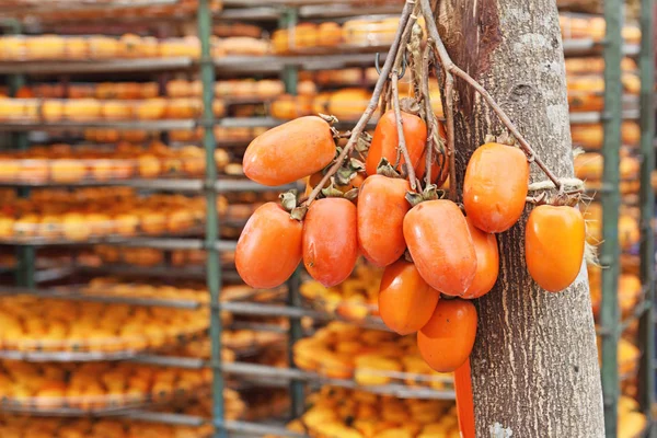 Prozess Der Herstellung Getrockneter Kaki Windigen Herbst Hsinchu Taiwan — Stockfoto