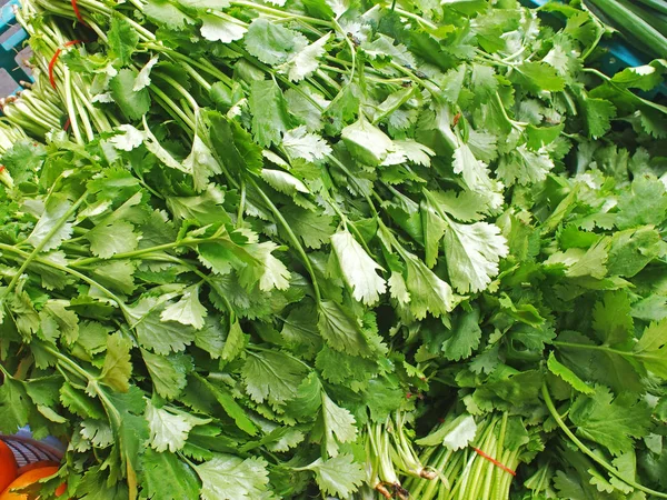 Foglie Coriandolo Fresche Vicino Nel Mercato — Foto Stock