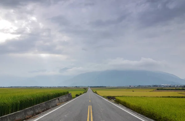 Дорога Проходит Через Зеленую Рисовую Ферму Тайтуне Тайвань — стоковое фото