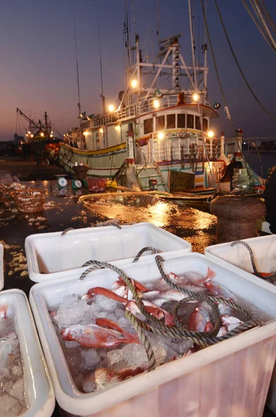 Pescado Fresco Una Canasta Puerto Pescado — Foto de Stock