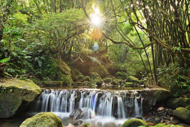 Yeni Taipei City gün doğumunda ormanda Nehir , Tayvan  