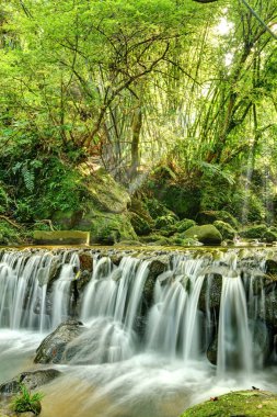 Yeni Taipei City gün doğumunda ormanda Nehir , Tayvan  