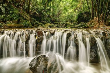 Yeni Taipei City gün doğumunda ormanda Nehir , Tayvan  