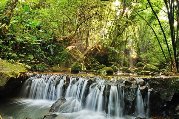 Río Bosque Amanecer Ciudad New Taipei Taiwán — Foto de Stock