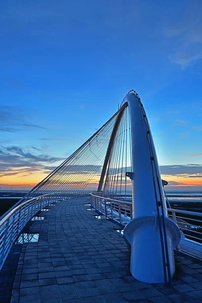 Harp Bridge Night Hsiang Shan Hsin Chu City Taiwan — Stock Photo, Image