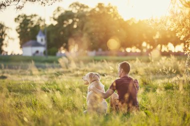 Köpek gün batımında doğa (labrador retriver) ile genç adam arkadan görünüş.