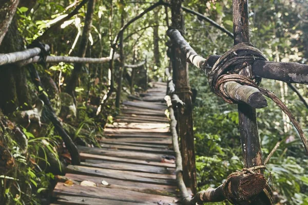 Velha Passarela Pela Selva Floresta Tropical Sri Lanka — Fotografia de Stock