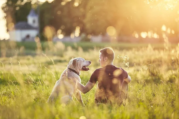 Vista Trasera Del Joven Con Perro Labrador Retriver Naturaleza Atardecer — Foto de Stock