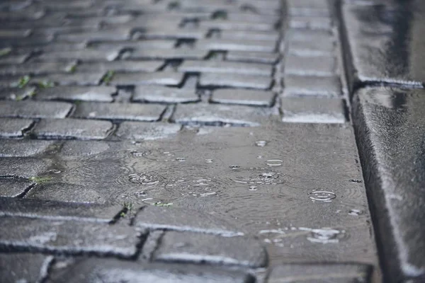 Puddle on road in rain. Full frame shot of cobblestone street.