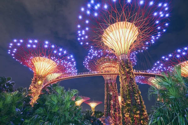 Singapore September 2018 Night Light Show Von Supertree Grove Gardens — Stockfoto
