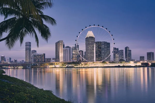 Světla Moderní Asijské Město Palmou Proti Panoráma Singapuru Soumraku — Stock fotografie