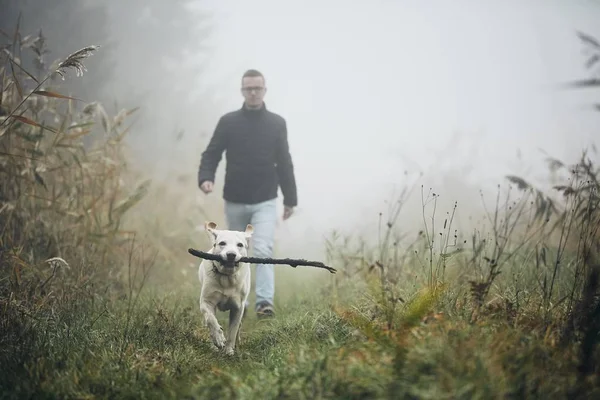 Genç Adam Sonbahar Sisli Sabah Labrador Retriever Köpekle Oynamayı — Stok fotoğraf